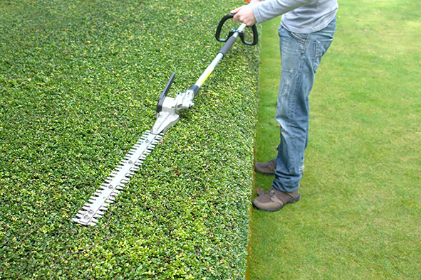 Garten- und Heckenpflege
